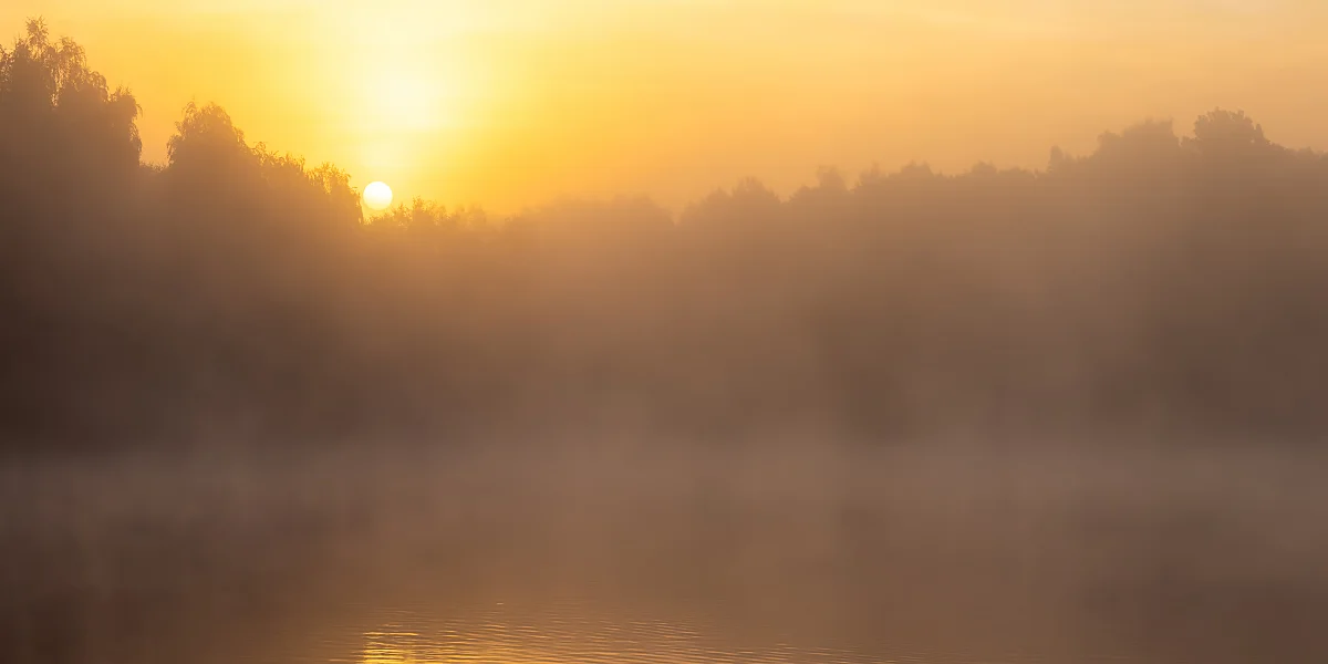 Słońce nad zamglonym jeziorem i drzewami